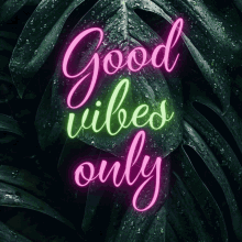Good Vibes Good Vibes Only GIF - Good Vibes Good Vibes Only Positive Vibes GIFs