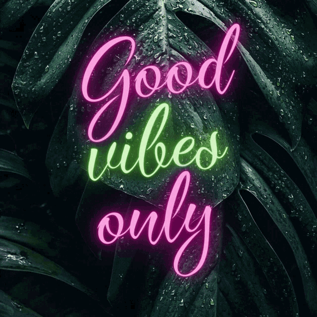 Good Vibes only неон. Good Vibes картинки. Good Vibes only. Позитив Vibes only.