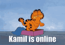 Kamil Garfield GIF - Kamil Garfield Online GIFs