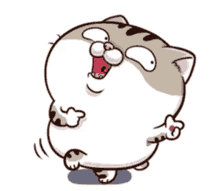 ami fat cat point cute chubby on you