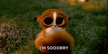 a cartoon meerkat is sitting in a field of flowers and saying i 'm so sorry .
