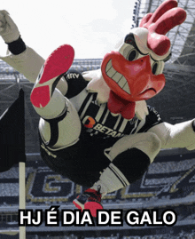 a chicken mascot is flying in the air with the caption " hj e dia de galo " below it