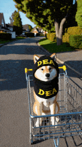 a dog wearing a dea scarf is sitting in a shopping cart on a street
