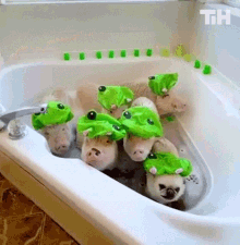 Pets This Is Happening GIF - Pets This Is Happening Cute GIFs