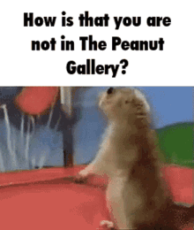 Peanut Discord GIF - Peanut Discord The Peanut Gallery GIFs