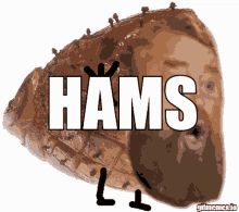 Hams Approved Hams GIF - Hams Approved Hams Approve GIFs
