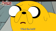 What The Butt Jake GIF - What The Butt Jake Adventure Time GIFs