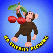No Cherry Picking Don'T Cherry Pick GIF - No Cherry Picking Don'T Cherry Pick Cherry GIFs