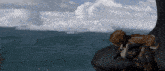 a person sitting on a rock looking out over the ocean