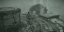 Sotc Shadow Of The Colossus GIF
