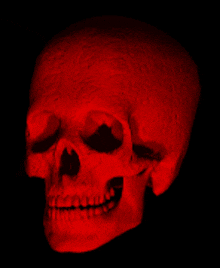 Skull Red Skull GIF - Skull Red Skull GIFs