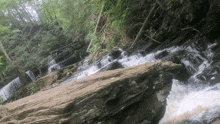 a waterfall is surrounded by trees and rocks in a forest
