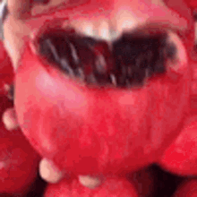 pomegranates fruits pomegranate