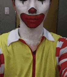 a man dressed as mcdonald 's donald 's clown