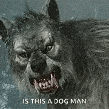 Beast Angry GIF - Beast Angry Werewolf GIFs