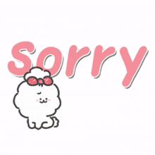apologies apologize excuses apology excuse