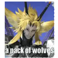 a picture of a cartoon character with the words a pack of wolves