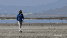 Out For A Walk Observing GIF