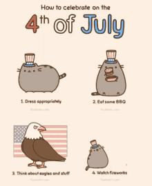 4th Of July Funny GIF