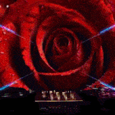 a red rose is surrounded by glowing lights and a record player
