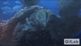 Gamera Gamera Rebirth GIF - Gamera Gamera Rebirth Gameras Skin Changes From Green To Black GIFs