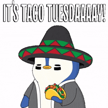 food penguin tuesday tacos taco