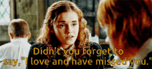 Hermione Granger Didnt You GIF - Hermione Granger Didnt You Forget GIFs