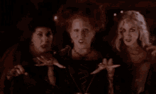 Spooky Witches GIF