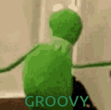 Groovy Frog GIF - Groovy Frog Puppet GIFs