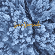 Winter Is Coming GIF - Winter Is Coming GIFs