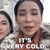 Its Very Cold Tina Yong GIF - Its Very Cold Tina Yong It'S Freezing GIFs