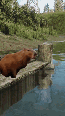 Tarkov Capybara GIF - Tarkov Capybara GIFs