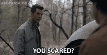 You Scared Scaredy Cat GIF