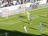 a group of soccer players are playing on a field with a goalie in the background