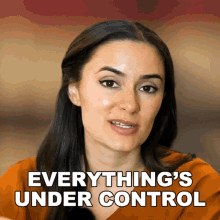 Everythings Under Control Ashleigh Ruggles Stanley GIF - Everythings Under Control Ashleigh Ruggles Stanley The Law Says What GIFs