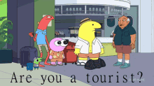 Smiling Friends Smiling Friends Tourist GIF - Smiling Friends Smiling Friends Tourist Are You A Tourist GIFs