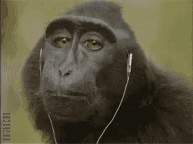 Monkey earbuds 2024