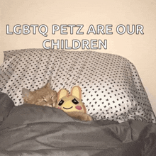 a cat and a stuffed animal are laying on a bed with the words lgbtq petz are our children