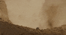 a group of dinosaurs are standing on a dirt hill