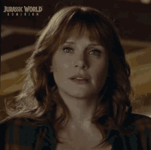What Claire Dearing GIF - What Claire Dearing Bryce Dallas Howard GIFs