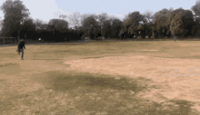cricket run