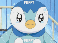 piplup plippy pokemon precious