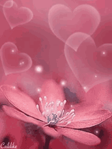 Pink Flower GIF - Pink Flower GIFs