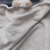 a cat is laying on a white blanket