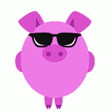 kstr kochstrasse pig animal cool
