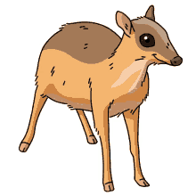 deer oriental