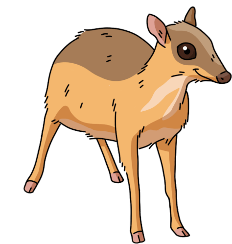 Mouse Deer Lesser Oriental Chevrotain Sticker