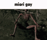 Miori Gay GIF - Miori Gay Dark Souls GIFs