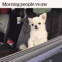 Me Vs Morning People Dog GIF - Me Vs Morning People Dog Sleepy GIFs