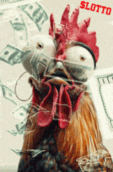 a picture of a rooster with money coming out of it 's eyes and the word lotto on the bottom right